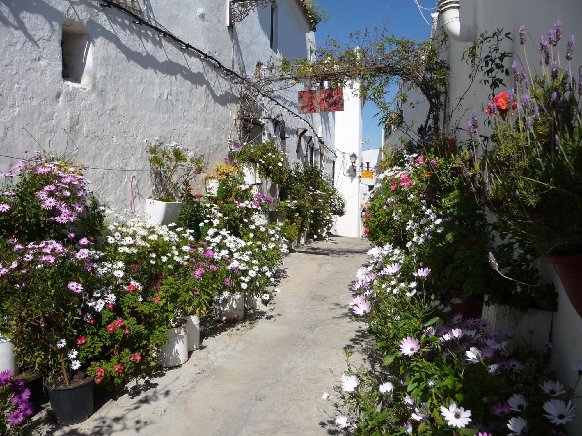 Vivienda Turistica De Alojamiento Rural Silla Vieja Vejer de la Frontera Exterior photo